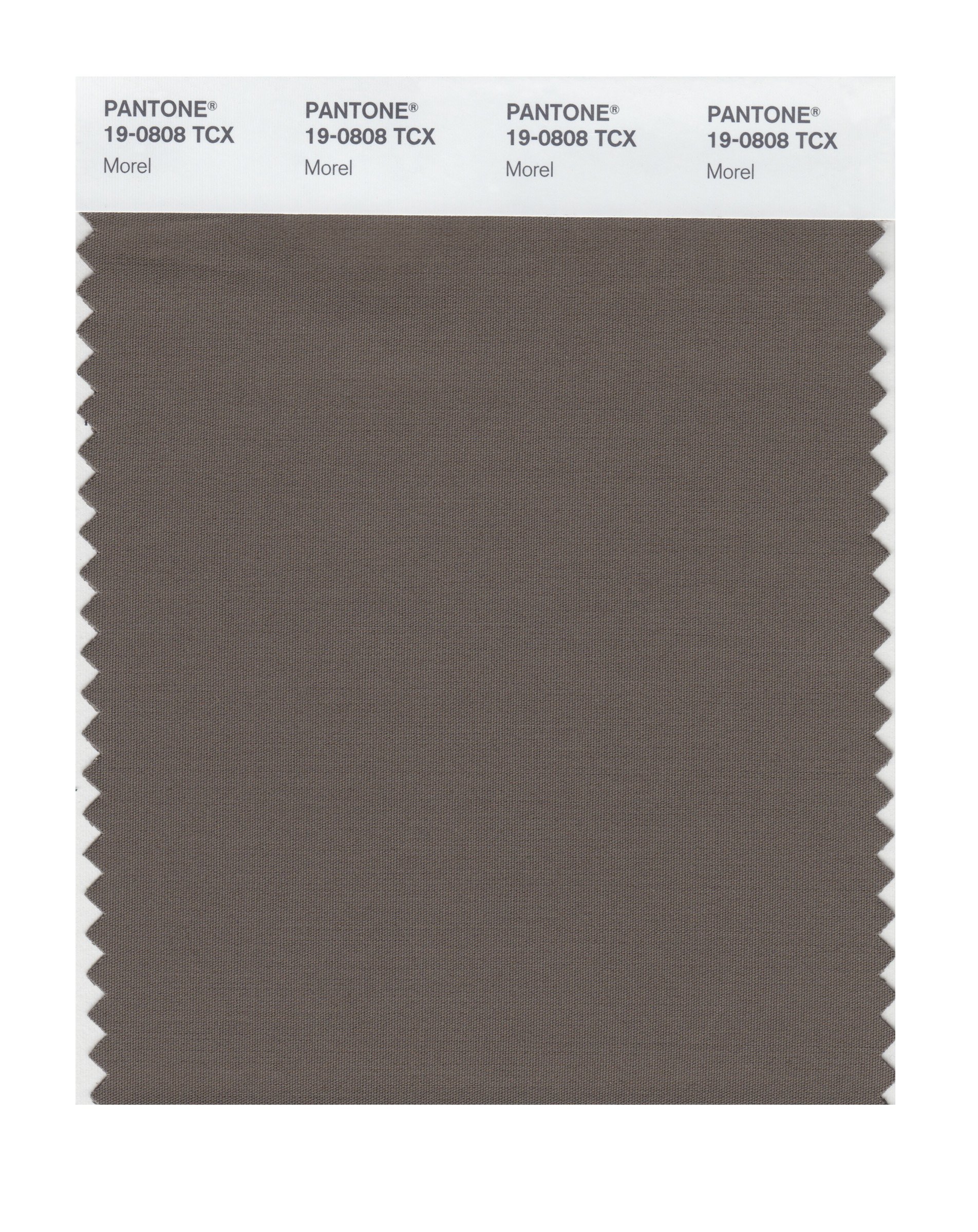 Amazon.com: Pantone 19-0808 TCX Smart Color Swatch Card, Morel